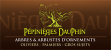 Pépinière Dauphin