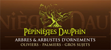 Pépinière Dauphin