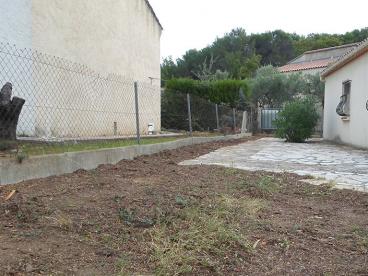 Abattage de haies de cyprès